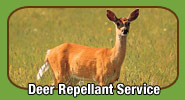 Deer Repellant Service